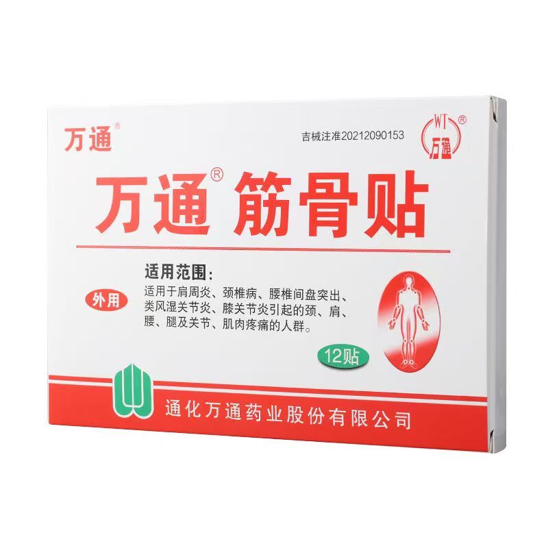 Wantong Musculoskeletal Pain Relief Plaster (12 Patches) - HK MATSUKIYO