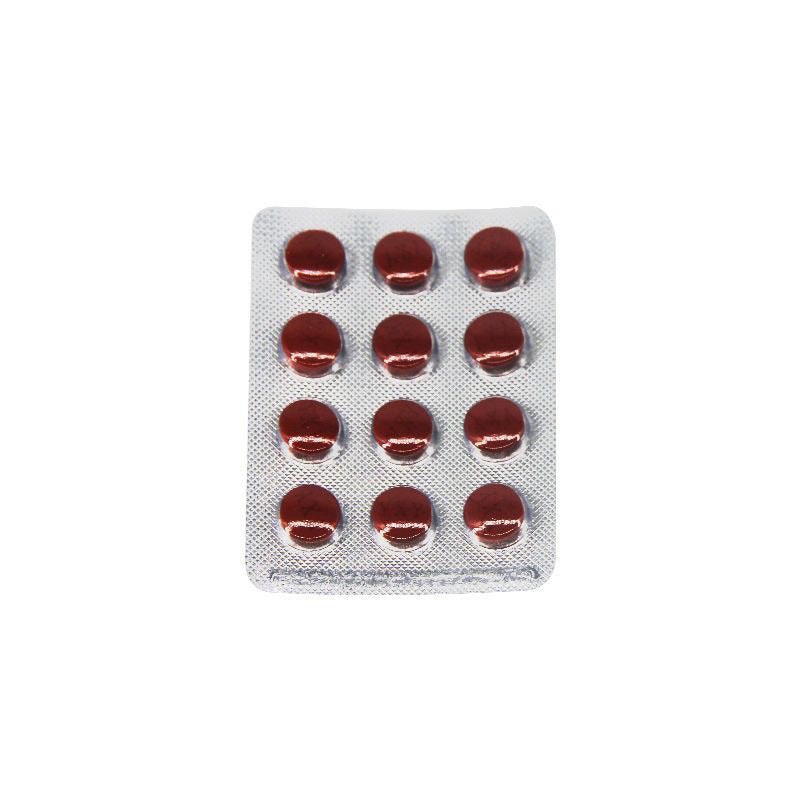 Yangtze River Ginkgo Leaf Tablets 24 Tablets - HK MATSUKIYO