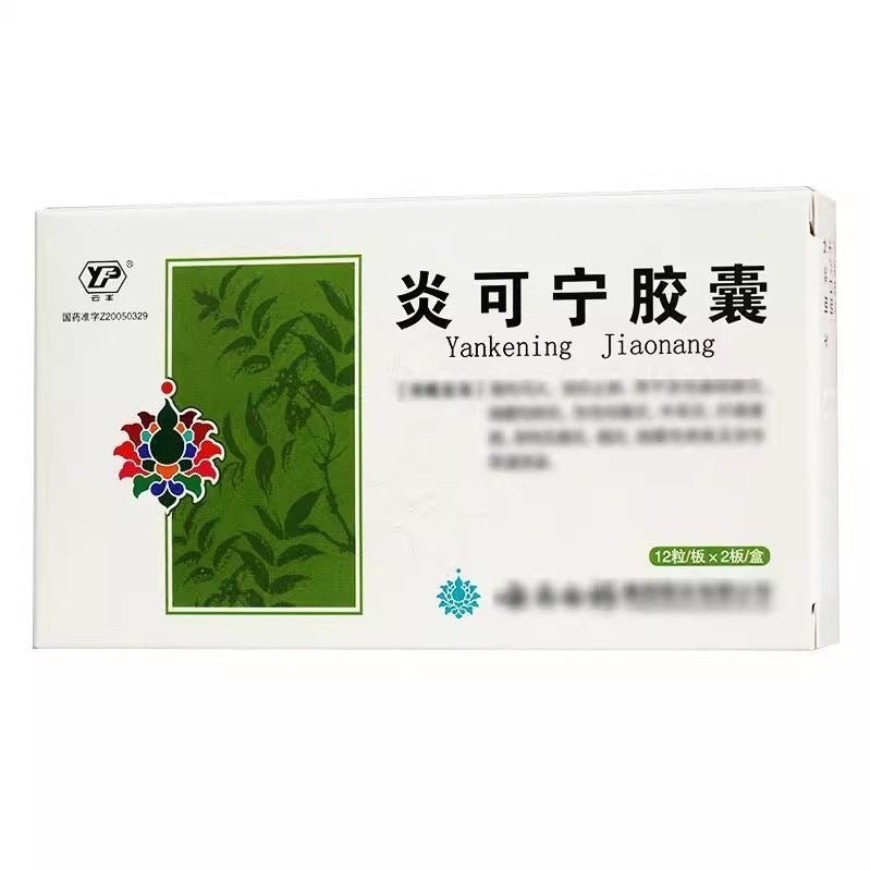 Yunnan Baiyao Yankening Capsules – 24 Capsules - HK MATSUKIYO