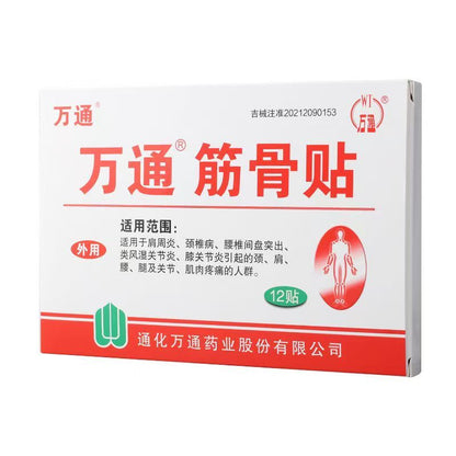 Wantong Musculoskeletal Pain Relief Plaster (12 Patches) - HK MATSUKIYO